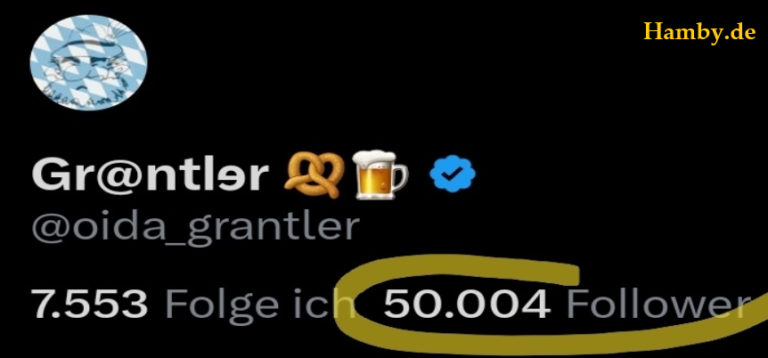 Grantler Twitter und digitale Kultur der Kritik